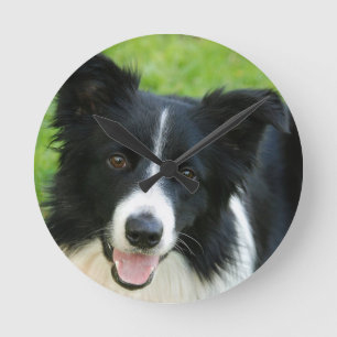 Border Collie Dog Text hinzufügen Runde Wanduhr