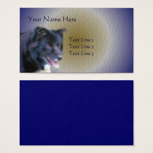 Border Collie Dog Tierart (Vorne & Hinten)