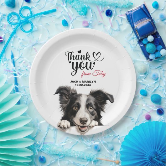 Border Collie Dog Wedding Cocktail Pappteller (Party)
