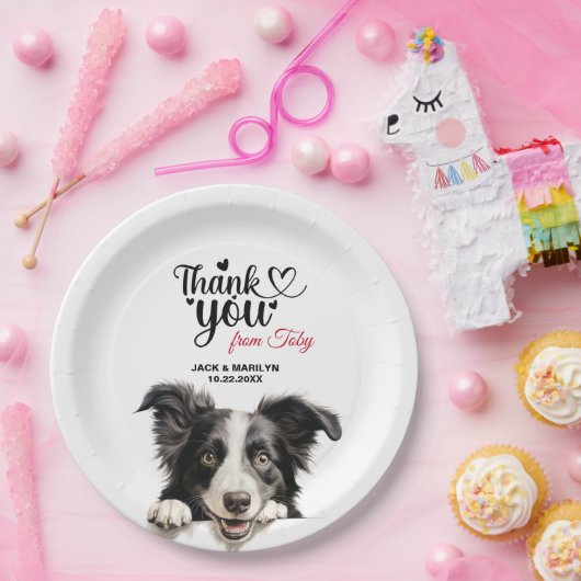 Border Collie Dog Wedding Cocktail Pappteller (Party)