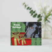 Border Collie Dog Weihnachtsfeiertag Postkarte (Stehend Vorderseite)