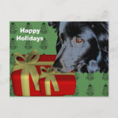 Border Collie Dog Weihnachtsfeiertag Postkarte (Vorderseite)