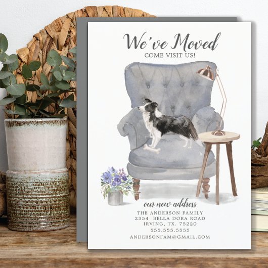 Border Collie Dog Wir haben uns bewegt Bewegung An Ankündigung