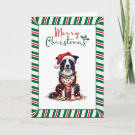 Border Collie Dog Wrapped In Christmas Light Karte