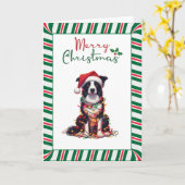 Border Collie Dog Wrapped In Christmas Light Karte (Gelbe Blume)