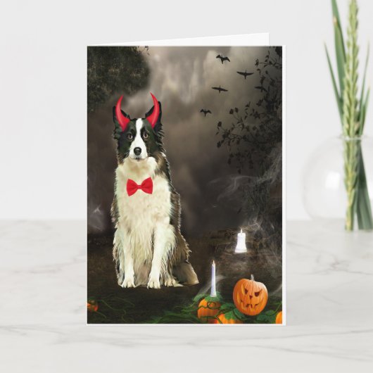 Border Collie Dog zu Halloween-Kostüm Karte (Vorderseite)