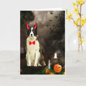 Border Collie Dog zu Halloween-Kostüm Karte (Gelbe Blume)