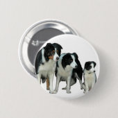 Border Collie Dogs Button (Vorne & Hinten)