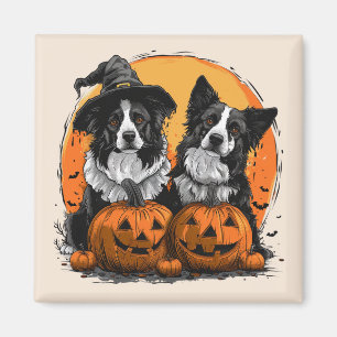 Border Collie Dogs Halloween Kürbislaternen Magnet