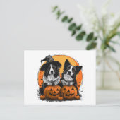 Border Collie Dogs Halloween Kürbislaternen Postkarte (Stehend Vorderseite)