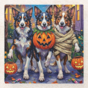 Border Collie Dogs Trick-or-Treating zu Halloween Glasuntersetzer