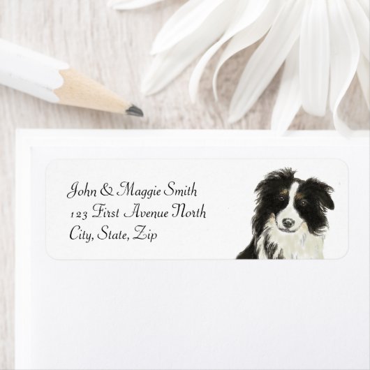 Border Collie Dose Individuelle Name (Insitu)