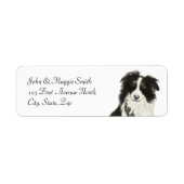 Border Collie Dose Individuelle Name (Vorne)
