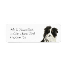 Border Collie Dose Individuelle Name