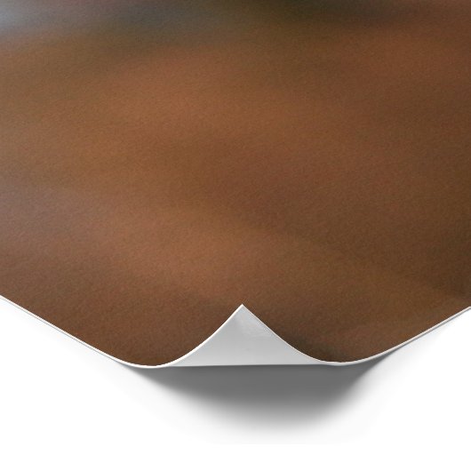 Border Collie Doster Poster (Ecke)