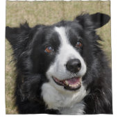 Border Collie Duschvorhang (Vorderseite)