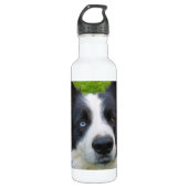Border Collie Edelstahlflasche (Vorderseite)