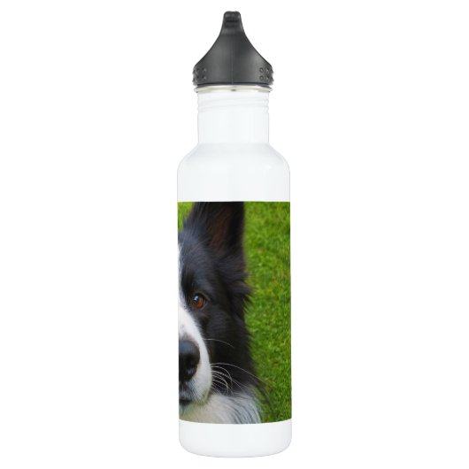 Border Collie Edelstahlflasche (Rechts)