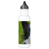 Border Collie Edelstahlflasche (Links)