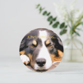 BORDER COLLIE EINLADUNG (Stehend Vorderseite)