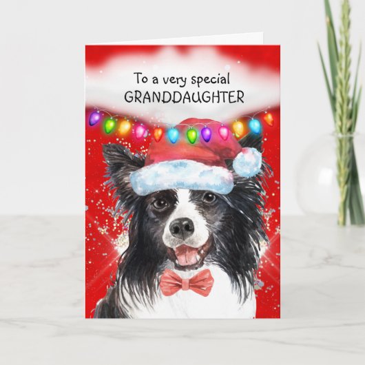 Border Collie Enkeltochter niedlichen Xmas Wünsche Karte (Vorderseite)