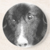 Border Collie Face Hund Tierischer Untersetzer (Vorne)