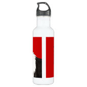 Border-Collie-Farbblock Edelstahlflasche (Rückseite)