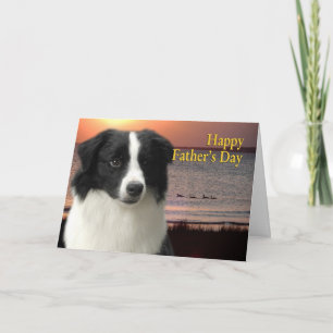 Border Collie Father's Day Card Karte