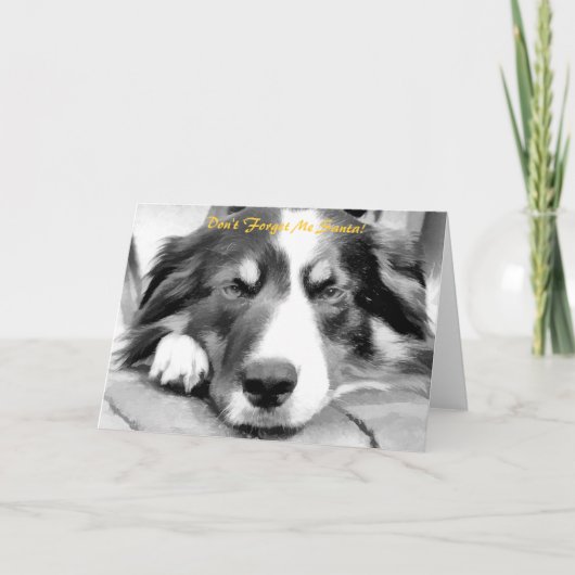 BORDER COLLIE FEIERTAGSKARTE (Vorderseite)