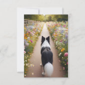 Border Collie Flat Note Card mit Umschlag Mitteilungskarte (Vorderseite)
