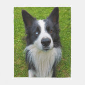 Border Collie Fleecedecke (Vorderseite)