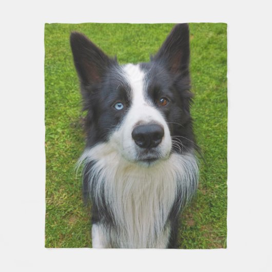 Border Collie Fleecedecke (Vorderseite)