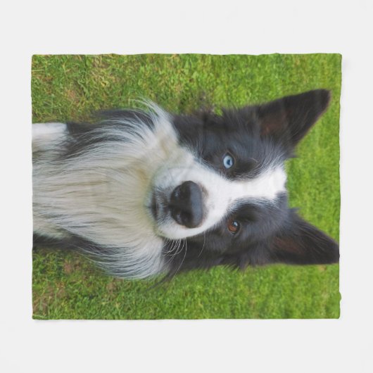 Border Collie Fleecedecke (Vorderseite (Horizontal))