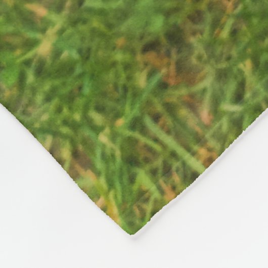 Border Collie Fleecedecke (Ecke)