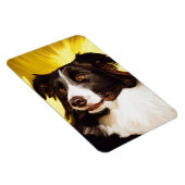 Border Collie Flexible Magnet (Rechte Seite)