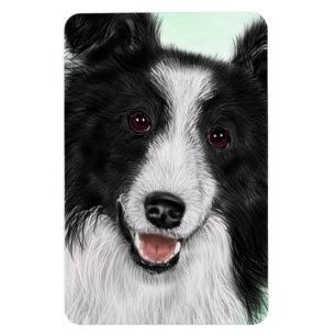 Border-Collie-flexibler Magnet