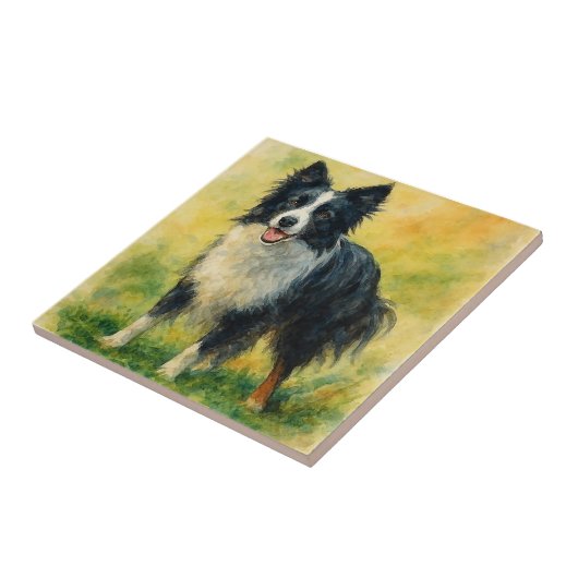 Border Collie Fliese (Seite)
