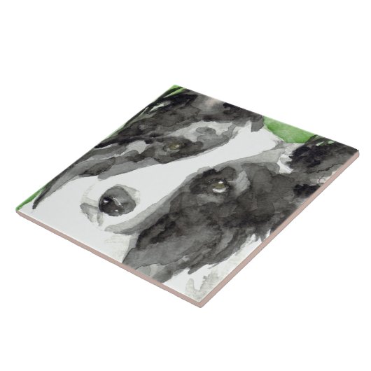 Border Collie Fliese (Seite)