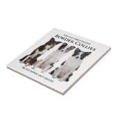 Border-Collie-Fliese Fliese (Seite)