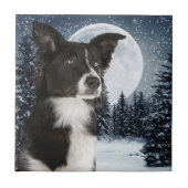 Border-Collie-Fliese Fliese (Vorderseite)