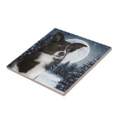 Border-Collie-Fliese Fliese (Seite)