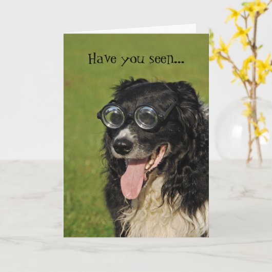 Border Collie Flocking Funny Card Karte (Gelbe Blume)