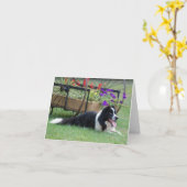 Border Collie & Flower Cart Note Card Karte (Gelbe Blume)