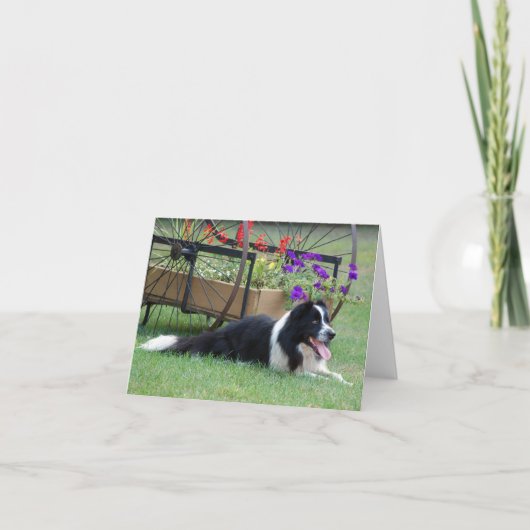 Border Collie & Flower Cart Note Card Karte (Vorderseite)
