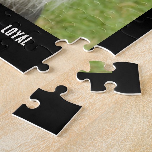 Border Collie Foto Dog Breed Jigsaw Puzzle (Seite)