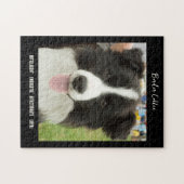 Border Collie Foto Dog Breed Jigsaw Puzzle (Horizontal)