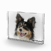 Border Collie Fotoblock (Rechts)