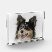 Border Collie Fotoblock (Links)