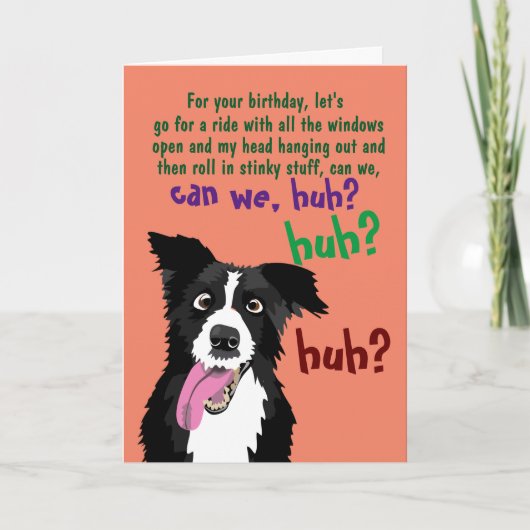 Border Collie Funny Birthday Card for Dog Owner Karte (Vorderseite)