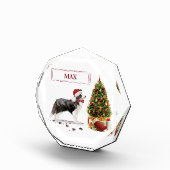 Border Collie Funny Christmas Dog mit Baum Fotoblock (Rechts)